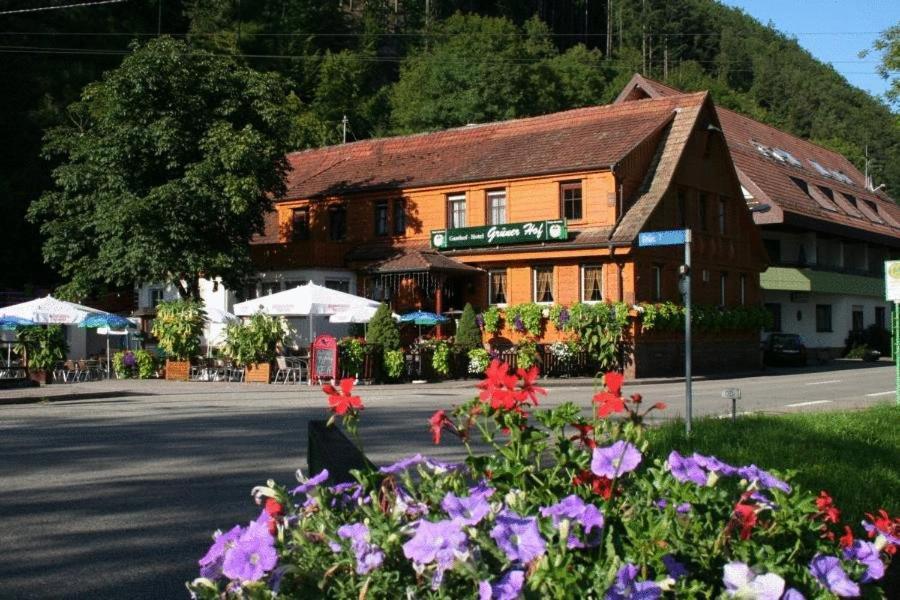 Gruener Hof Hotel Zell am Harmersbach Eksteriør billede