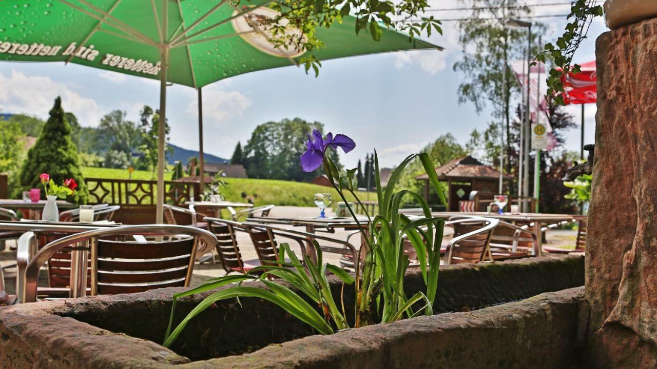 Gruener Hof Hotel Zell am Harmersbach Eksteriør billede